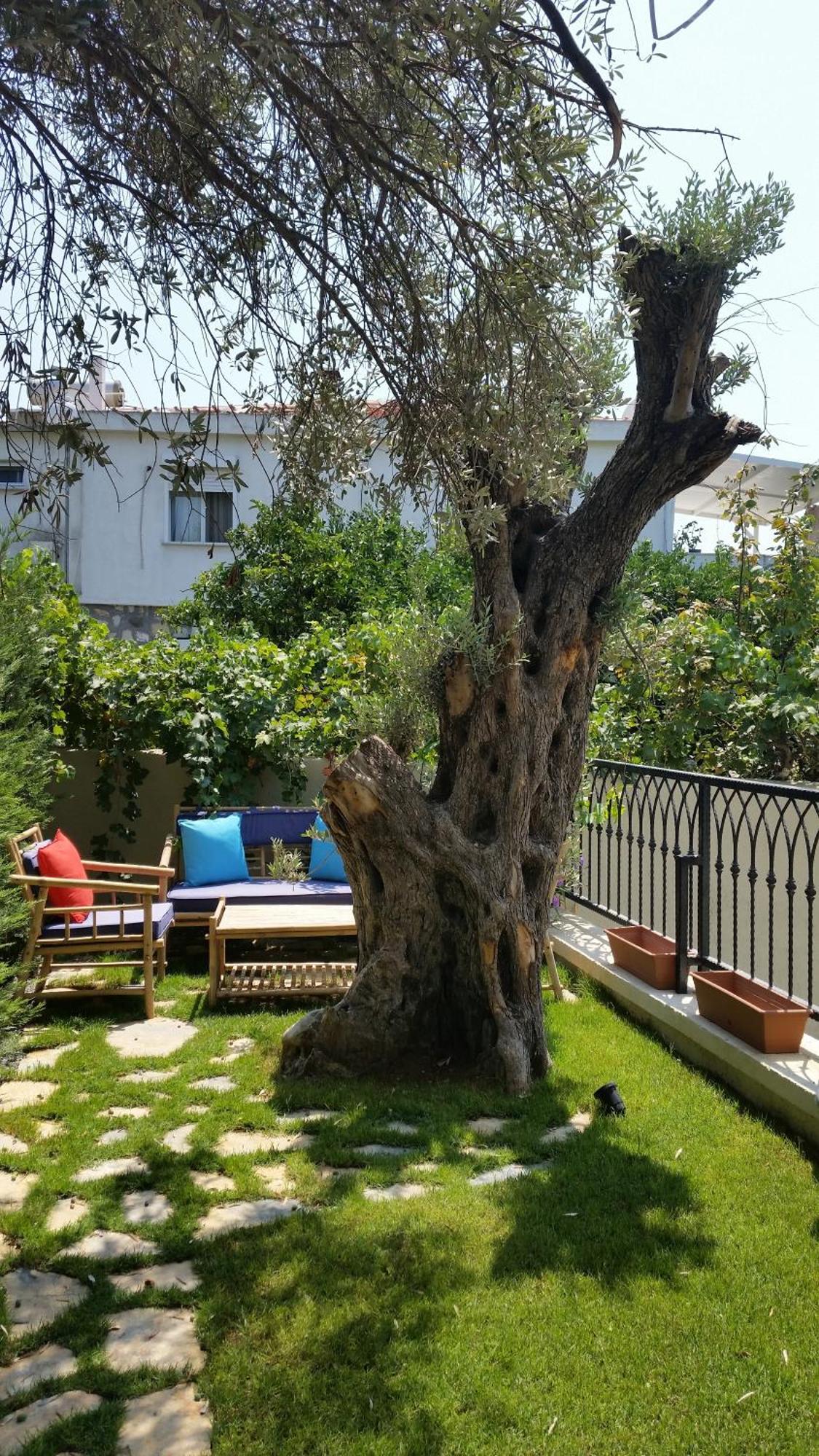 Cassıopeıa Otel Alaçatı Dış mekan fotoğraf