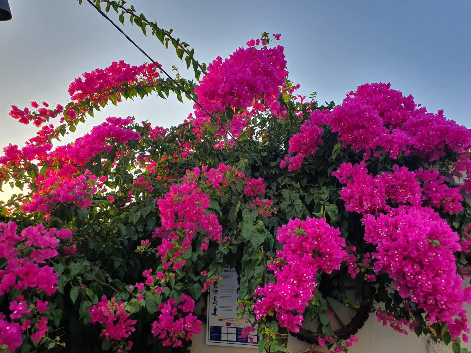 Cassıopeıa Otel Alaçatı Dış mekan fotoğraf