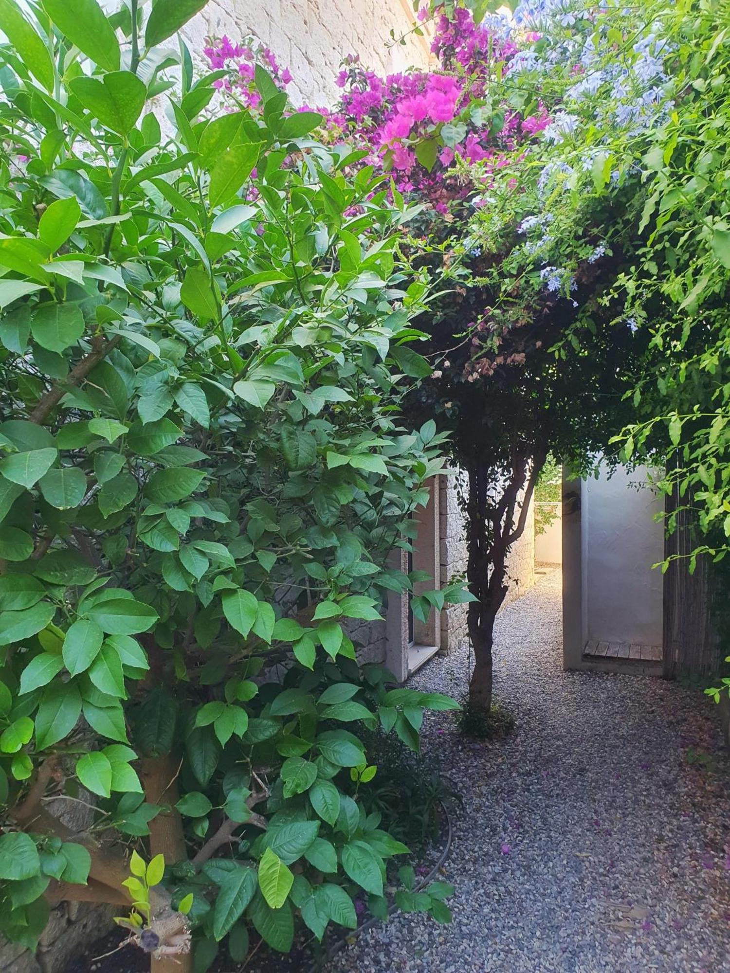 Cassıopeıa Otel Alaçatı Dış mekan fotoğraf